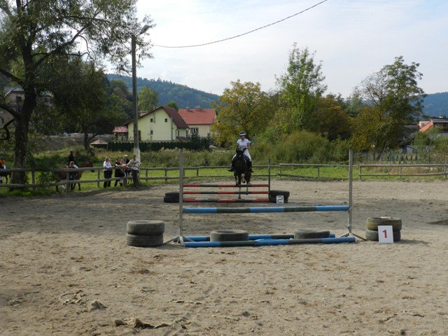 Babie Lato 2016